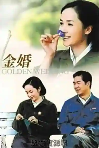 2007 金婚 张国立/蒋雯丽/国语中字/50集全/MP4/1080P/41.1G