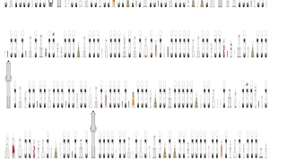 Thumbnail of post image 110